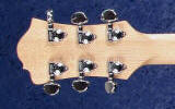 Non Floyd Rose Guitars on www.jcguitars.com